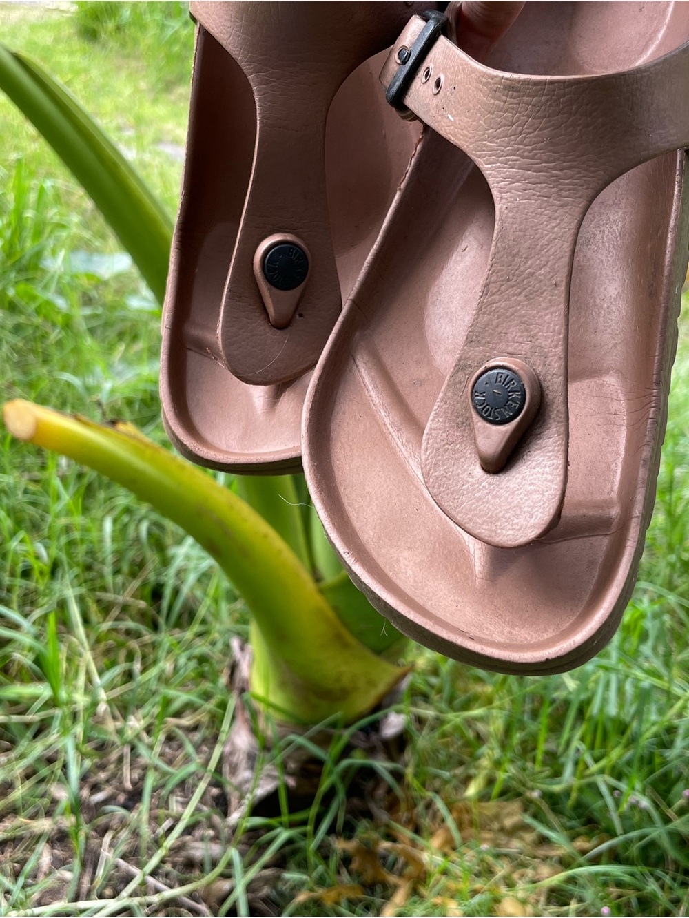 Woman’s comfortable shoes
